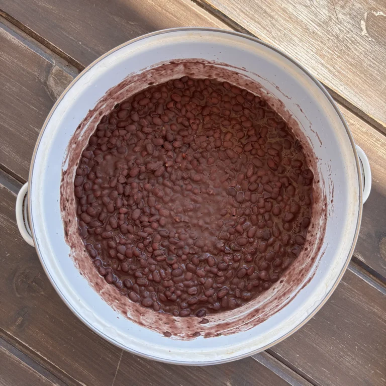 Frijoles refritos